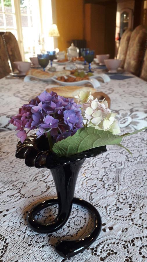 Les Terrasses Bed & Breakfast Degré Dış mekan fotoğraf